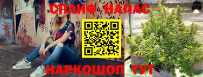 молекула духа Краснознаменск
