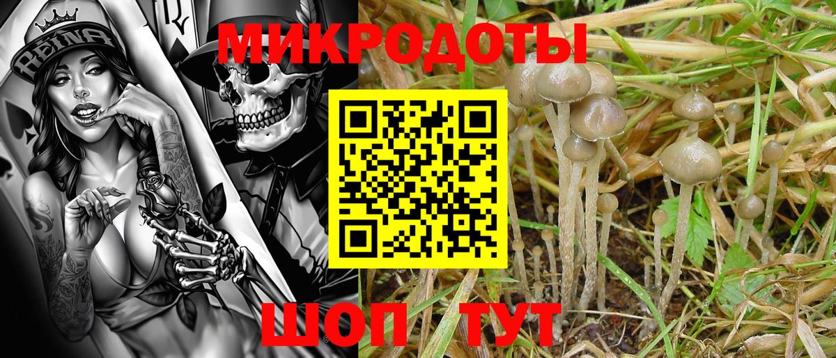 Псилоцибиновые грибы Magic Shrooms Тулун